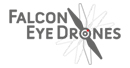 Falcon Eye Drones